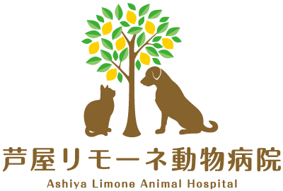 芦屋リモーネ動物病院
