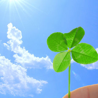 ライフスタイルの変化に対応！