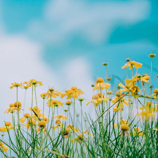 自然と触れ合う環境