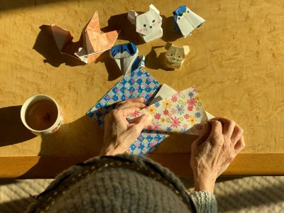 シェアハウス花 大阪府大阪市東淀川区 ワンちゃんの散歩スタッフの求人情報 バイト パート 正社員のお仕事は ディースターnet