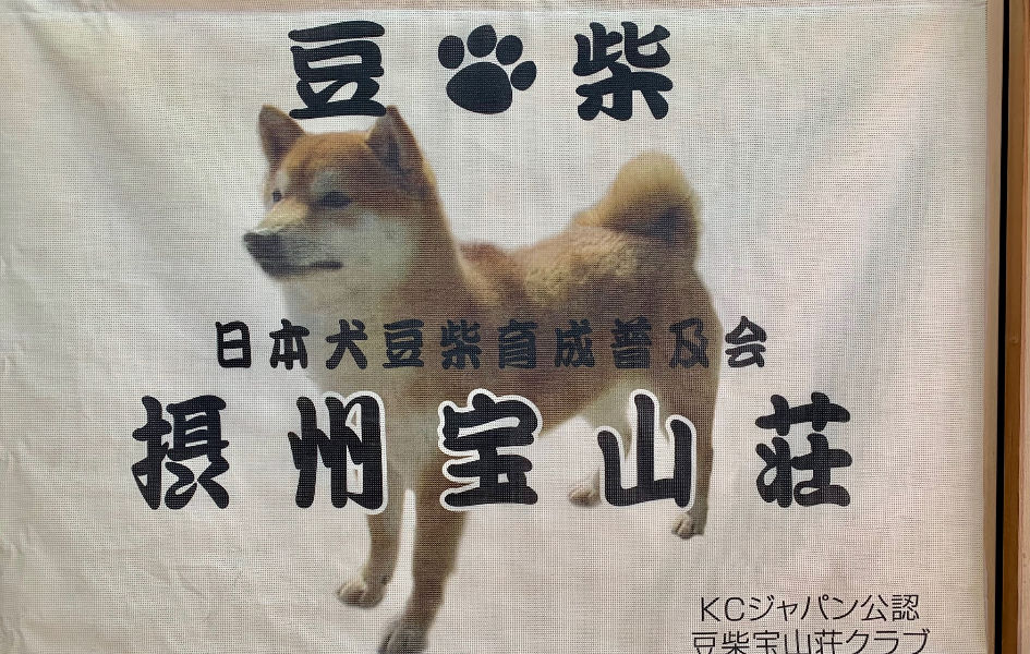 豆柴の里 摂州宝山荘 高槻市成合 豆柴専門のブリーダーショップ