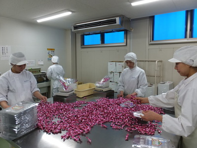 チョコレート製造補助スタッフ 株式会社ピュアレ 求人 大阪市平野区のおいしいチョコレート製造