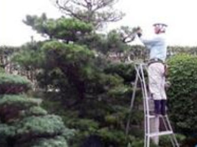 エクステリア 造園 外構 京都市内の求人情報 関西 ディースターnet で 正社員 バイト パートのお仕事探し