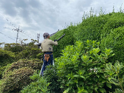 京都市伏見区 庭や花壇などの植物の手入れや管理 株式会社吉村造園