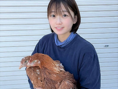 赤穂郡上郡町 卵用鶏の健康管理などを行う飼育スタッフ 株式会社n G C 赤穂農場 本社