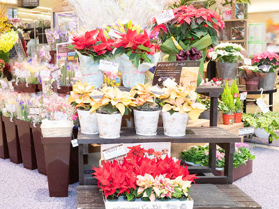 販売の求人情報 大阪 ディースターnet で 正社員 バイト パートのお仕事探し