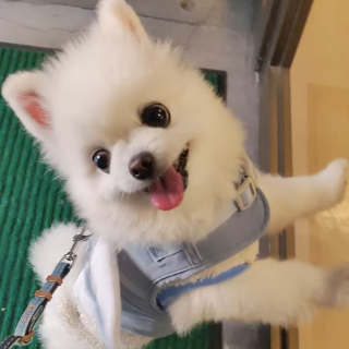 ■無料で相談＆お見積り■